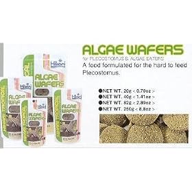 Tropical Algae Wafers Fish Food, 2.2 Lbs by Hikari Sales USA