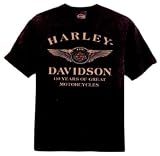 Harley-Davidson® Boy's Toddler 110th Anniversary Winged Logo Short Sleeve Tee Shirt. Black. 1374192