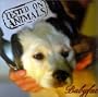 Tested on Animals