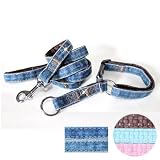 "Fab Denim" Soft Leather Padded Soft Leather Padded Slip-on Dog Collar & Leash Set - Medium, Chocolate