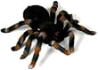 Uncle Milton Remote Control Tarantula