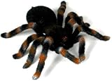 Uncle Milton Remote Control Tarantula
