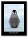 B-r-r-r-r-r! by Konrad Wothe 19"x14" Art Print Poster