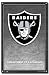 OAKLAND RAIDERS 2007 NFL TEAM LOGO POSTER 22.5x34 #4364