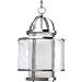 Progress Lighting P3701-09 1-Light Bay Court Foyer Fixture, Brushed Nickel