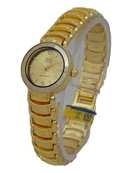 Q and Q Women Gold Analog Watch