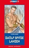 Loverboys 72: Zw�lf Spitze Lanzen - Tilman Janus