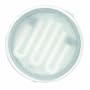 Feit Electric 72050 9-Watt Compact Fluorescent Undercabinet Light, White