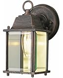 Trans Globe Lighting 40455 RT 8-Inch 1-Light Outdoor Wall Lantern, Rust