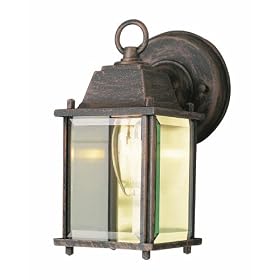 Trans Globe Lighting 40455 RT 8-Inch 1-Light Outdoor Wall Lantern, Rust by Trans Globe Lighting