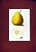 PEAR FRUIT HAND COLORED DRAWING FINE ART ANTIQUE c1831