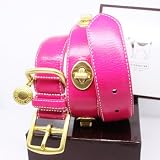 COACH Gold Turnlock Grommets Leather Collar with Engraveable Charm 60095 Limited Edition - Gold/Pink, X-Large (22"-26")