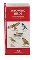 Wyoming Birds: An Introduction to Familiar Species (State Nature Guides)