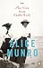 The View from Castle Rock (Paperback)