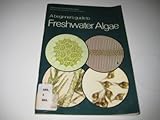 A beginner's guide to freshwater algae