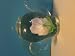 Celebrations Glass Flower in Pitcher Paper Weight Art
