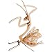 3-D Wooden Puzzle - Praying Mantis -Affordable Gift for your Little One! Item #DCHI-WPZ-E003
