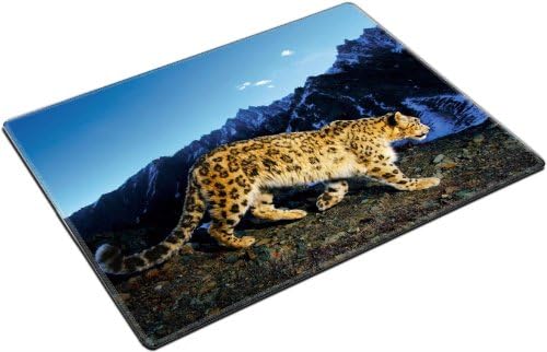 Snow Leopard Mountains Ounce Placemat Pads Customized Made To Order Support Ready 15 6/8 Inch (400mm) X 11 13/16 Inch (300mm) X 1/8 Inch (3mm) High Quality Eco Friendly Cloth With Neoprene Rubber Liil Place Mouse Pad Desktop Mousepad Laptop Mousepads Comfortable Table Desk Kitchen Computer Mouse Mat Cute Gaming Mouse_Pad