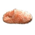 Tru-Fit - Womens Slide Slipper, Orange