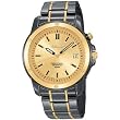Seiko Men's 2-Tone Black IP Plated Perpetual Calendar Watch Model SNQ072
