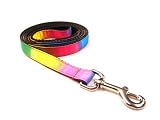 Medium Rainbow Dog Leash: 3/4" wide, 6ft length.