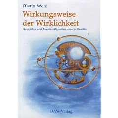 Wirkungsweise der Wirklichkeit: Geschichte und Gesetzm��igkeiten unserer Realit�t