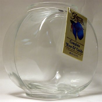 Buy Glass Fish Bowl – Drum – 1 qt.