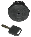 Poulan Pro Ignition Delta Switch 2000 #PP60008