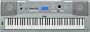 Yamaha DGX230 76 Full-Sized Piano Style Keys, 489 Instrument Voices