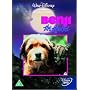 Benji The Hunted [DVD] [1987]