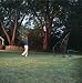 Izzo Golf Big Daddy Insta-Net