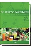 Die Kr�uter in meinem Garten
