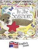 By the seashore