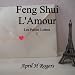 Feng Shui L Amour Les Petites Lettres 1 - Unlock The Secrets Of Your Love Life - Relationship Feng Shui