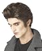 Twilight Edward Cullen Men's Vampire Wig