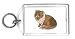 Keychain with cat, himalayan, feline, maltese