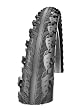 schwalbe