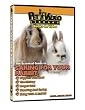 Caring For Your Rabbit DVD