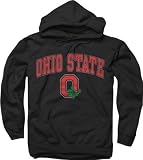 Ohio State Buckeyes Black Perennial II Hooded Sweatshirt