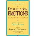 Destructive Emotions: A Scientific Dialogue with the Dalai Lama book cover