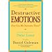 Destructive Emotions: A Scientific Dialogue with the Dalai Lama