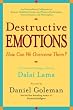 Destructive Emotions: A Scientific Dialogue with the Dalai Lama