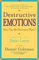 Destructive Emotions: A Scientific Dialogue with the Dalai Lama