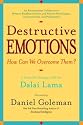 Destructive Emotions: A Scientific Dialogue with the Dalai Lama