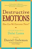 Destructive Emotions: A Scientific Dialogue with the Dalai Lama