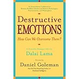 Destructive Emotions: A Scientific Dialogue with the Dalai Lama