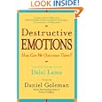 Destructive Emotions: A Scientific Dialogue with the Dalai Lama by Daniel Goleman