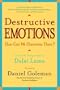 Destructive Emotions: A Scientific Dialogue with the Dalai Lama