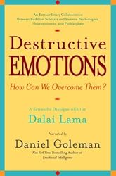 Destructive Emotions: A Scientific Dialogue with the Dalai Lama