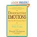 Destructive Emotions: A Scientific Dialogue with the Dalai Lama